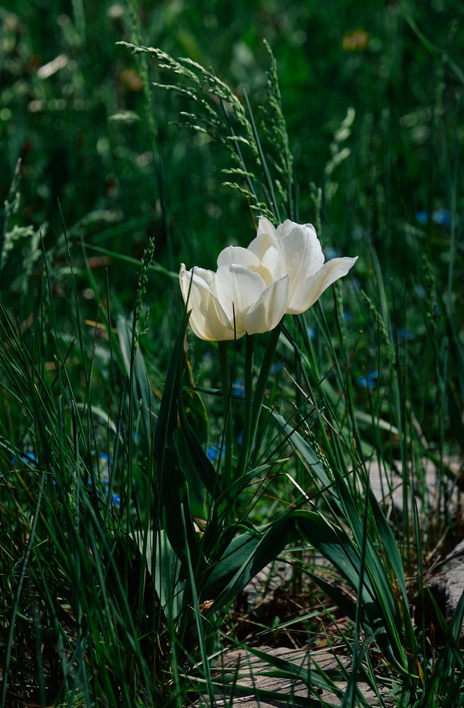Photograph by Константин Громов