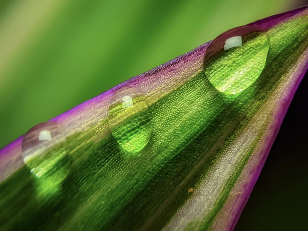 Photograph by Mohd Hasri