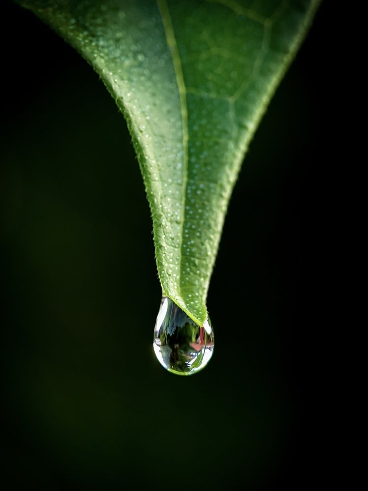 Photograph by Mohd Hasri