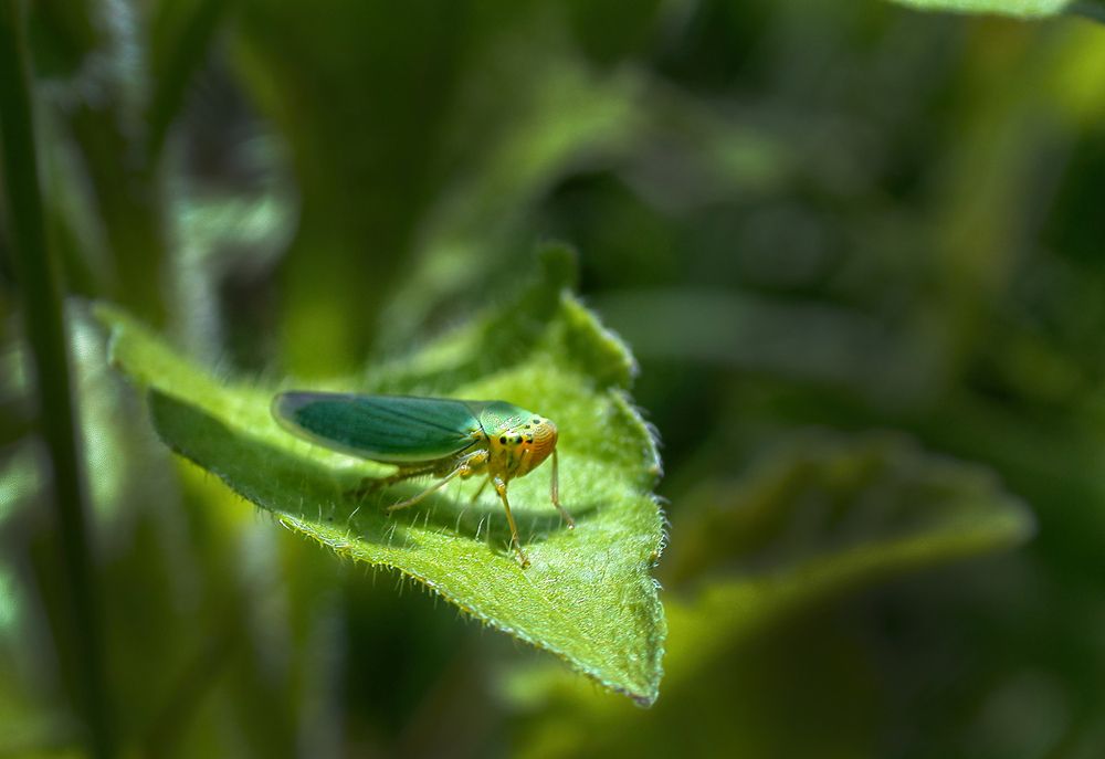 Photograph by Павлов Сергей