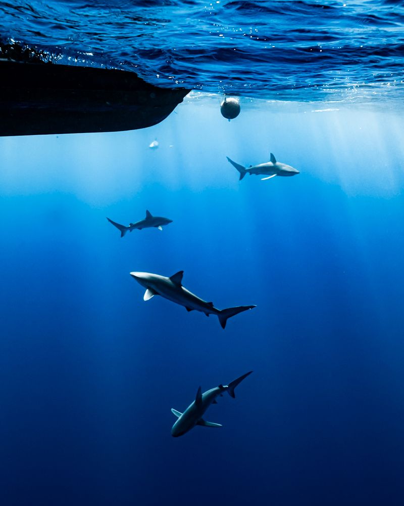 Photograph by nishijima takayuki