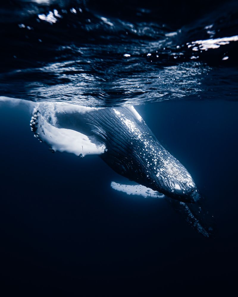 Photograph by nishijima takayuki