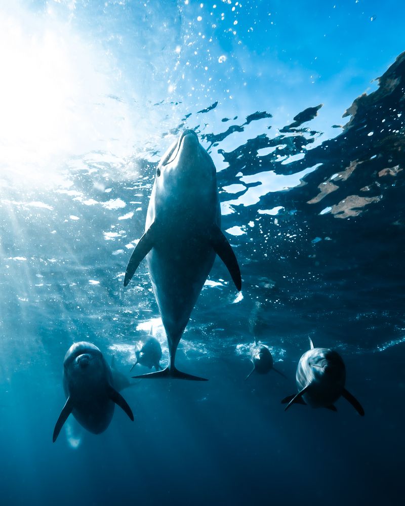 Photograph by nishijima takayuki