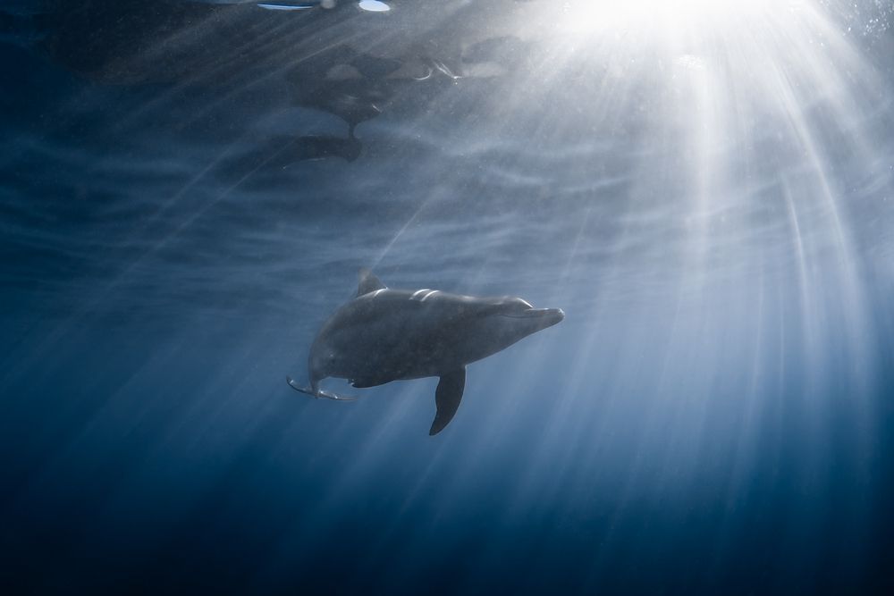 Photograph by nishijima takayuki