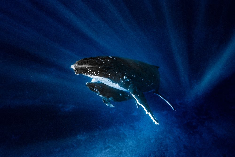 Photograph by nishijima takayuki