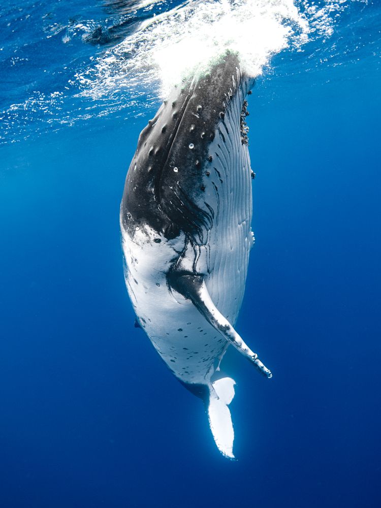 Photograph by nishijima takayuki