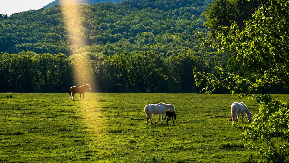 Фотография автора Юлия Усольцева