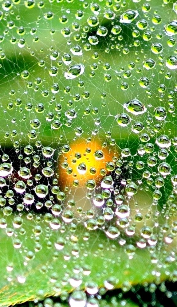Photograph by Игорь Бахарев