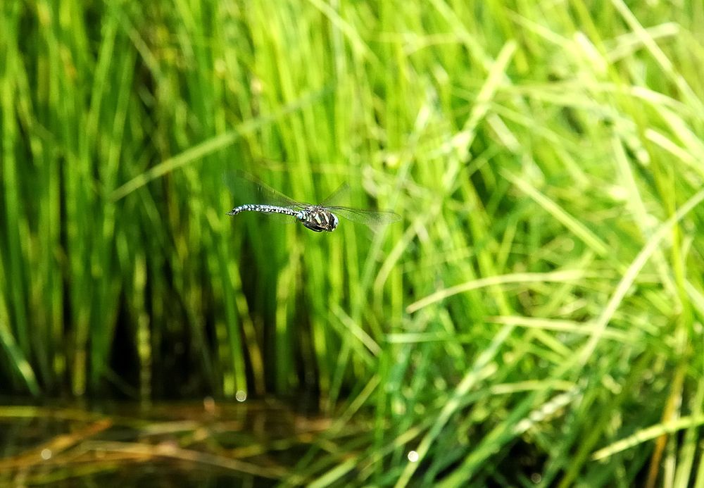Photograph by Шелехов Виталий