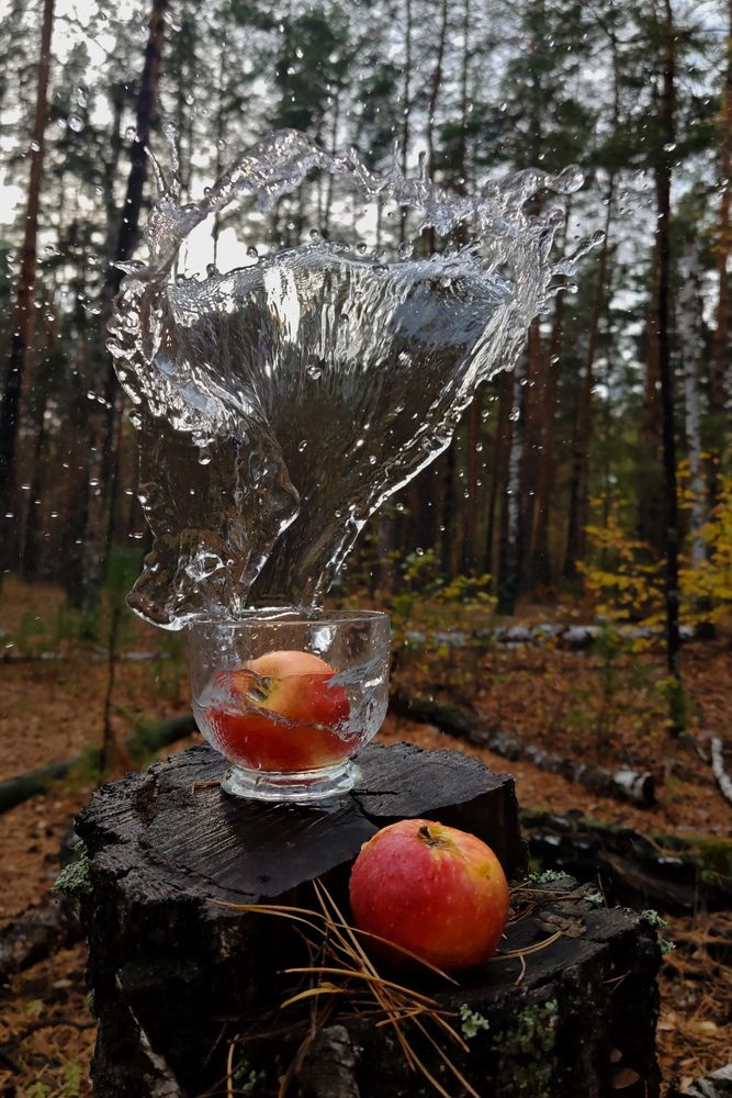 Photograph by Ольга Стебенева