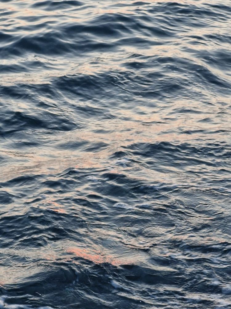 Photograph by Наталья Захарова