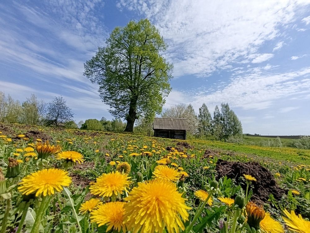 Photograph by Юрий Гордеев