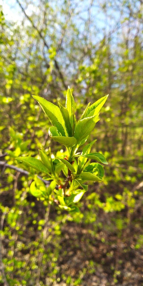 Photograph by Х О