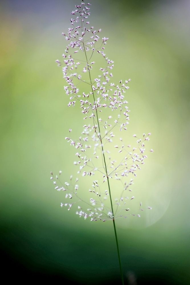 Photograph by Артем Великанов