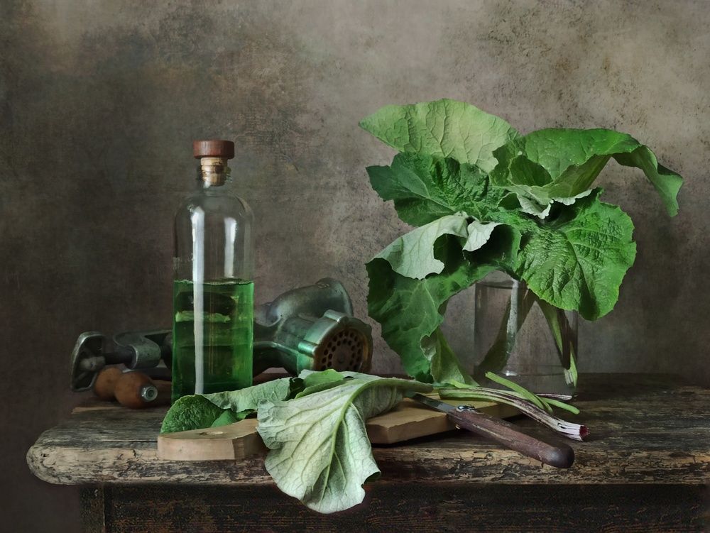 Photograph by Elena Novikova