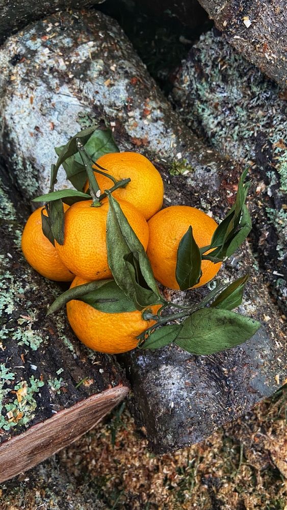 Photograph by Oksana Smorodina