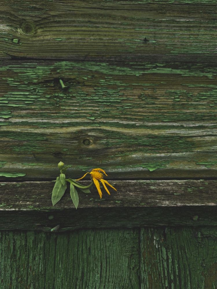 Photograph by Наталья Захарова