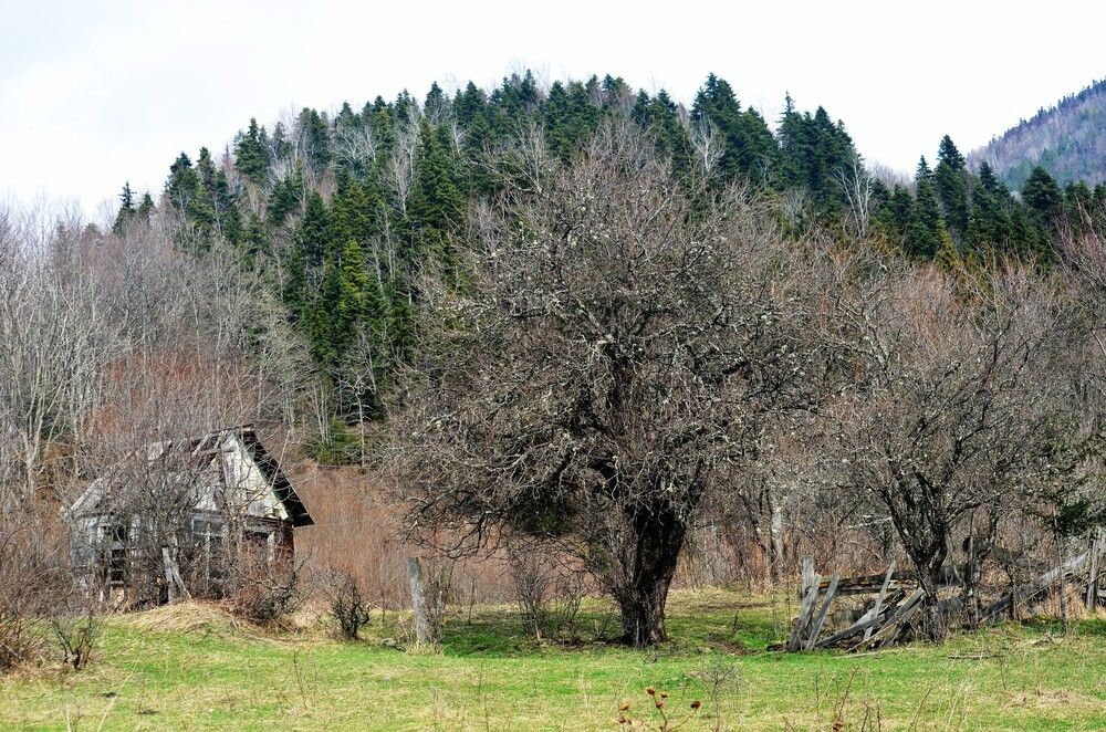 Photograph by Ольга Булавкина