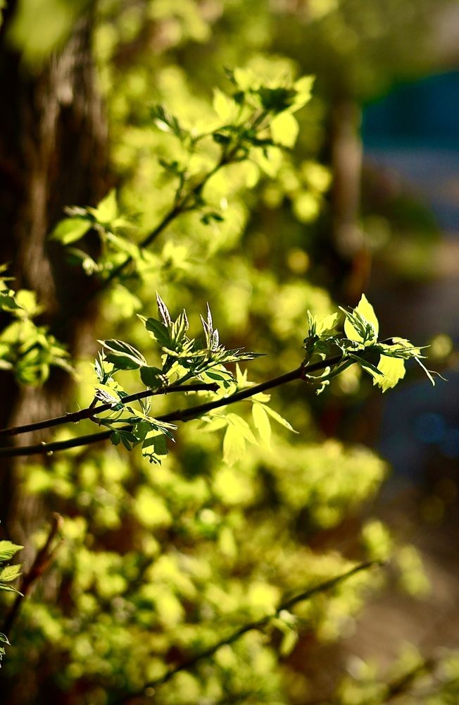Photograph by Александра Кочубей