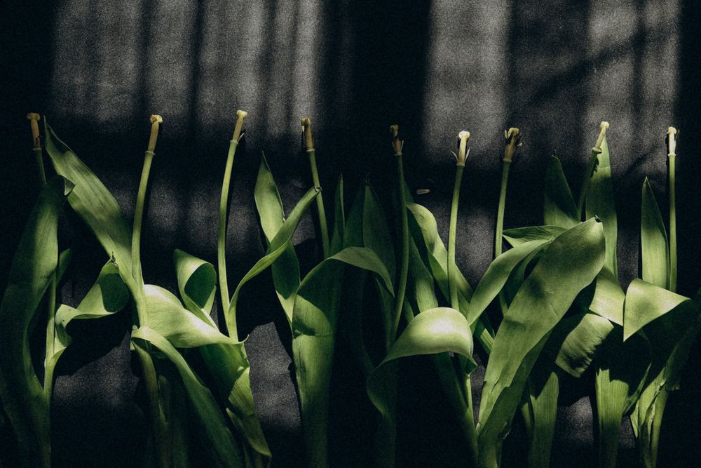 Photograph by Ирина Романовская