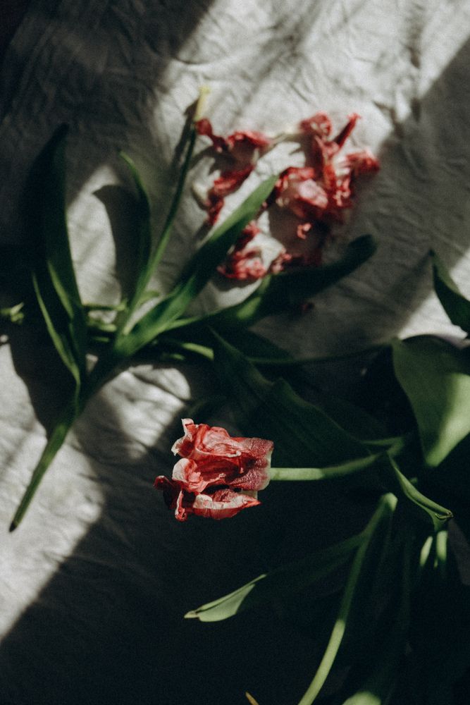 Photograph by Ирина Романовская
