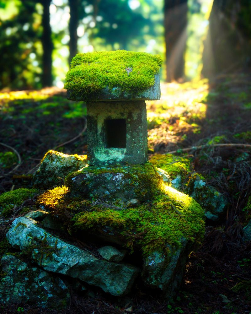 Photograph by Saenko Vladimir