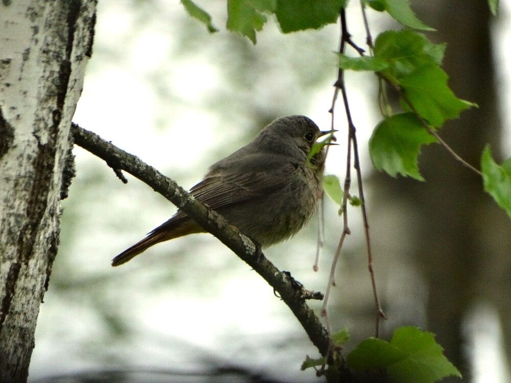 Photograph by Сергей Беляев