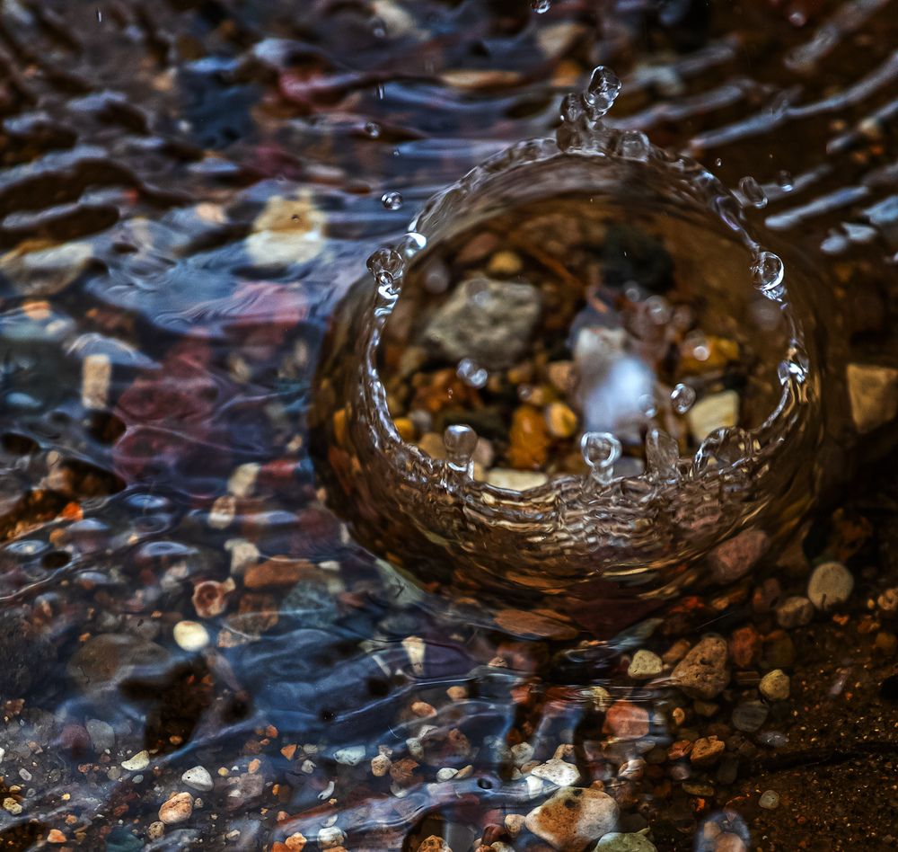 Photograph by Анна Акименко