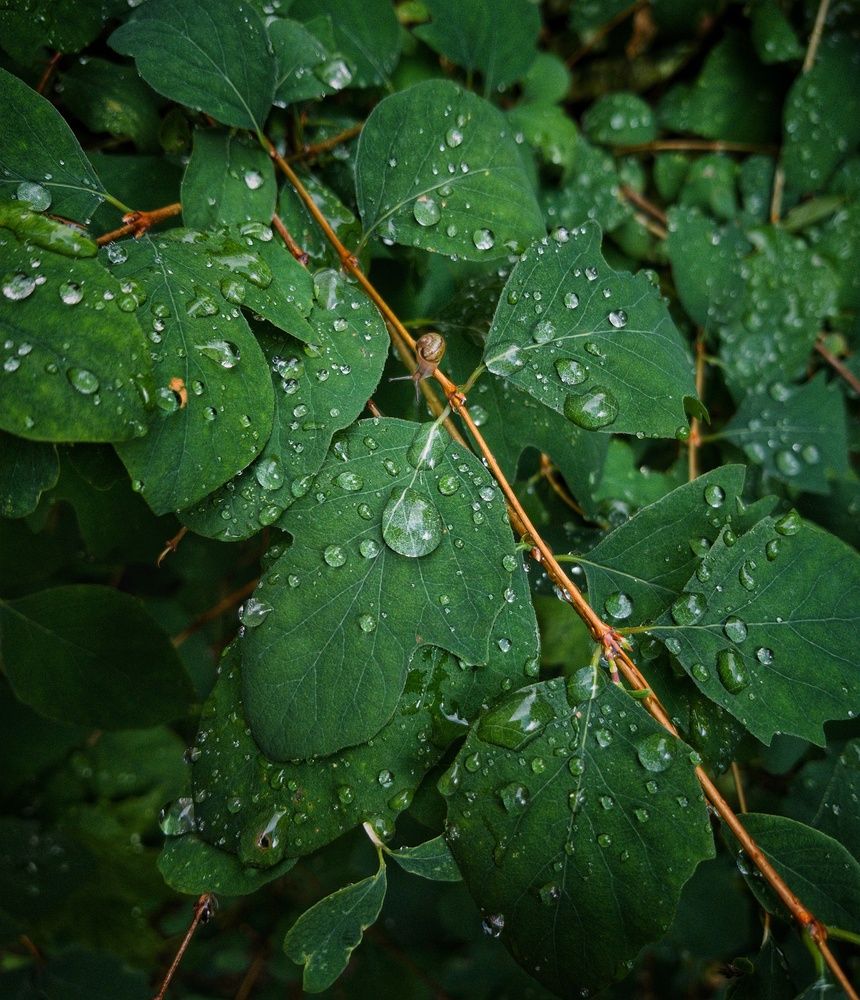 Photograph by артём мякинник