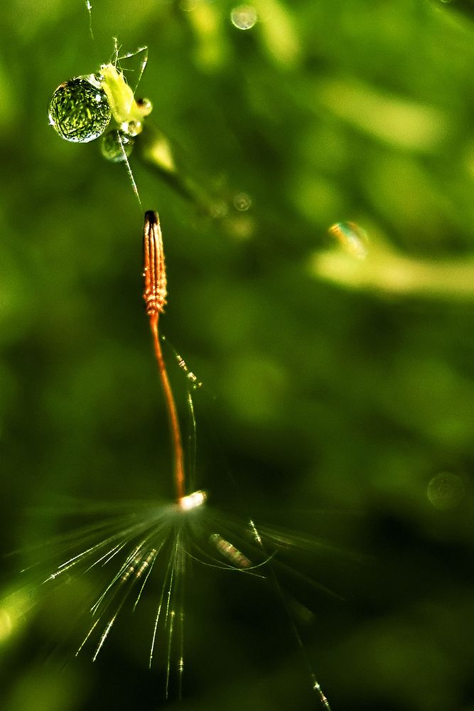 Photograph by Анна Акименко