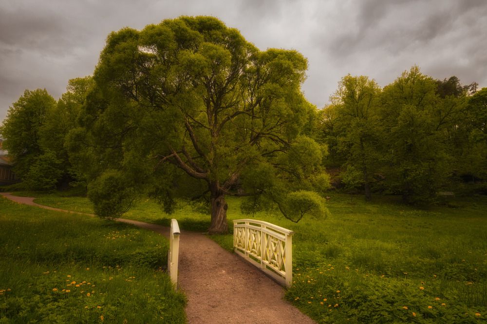 Photograph by Dinara Tleshaeva