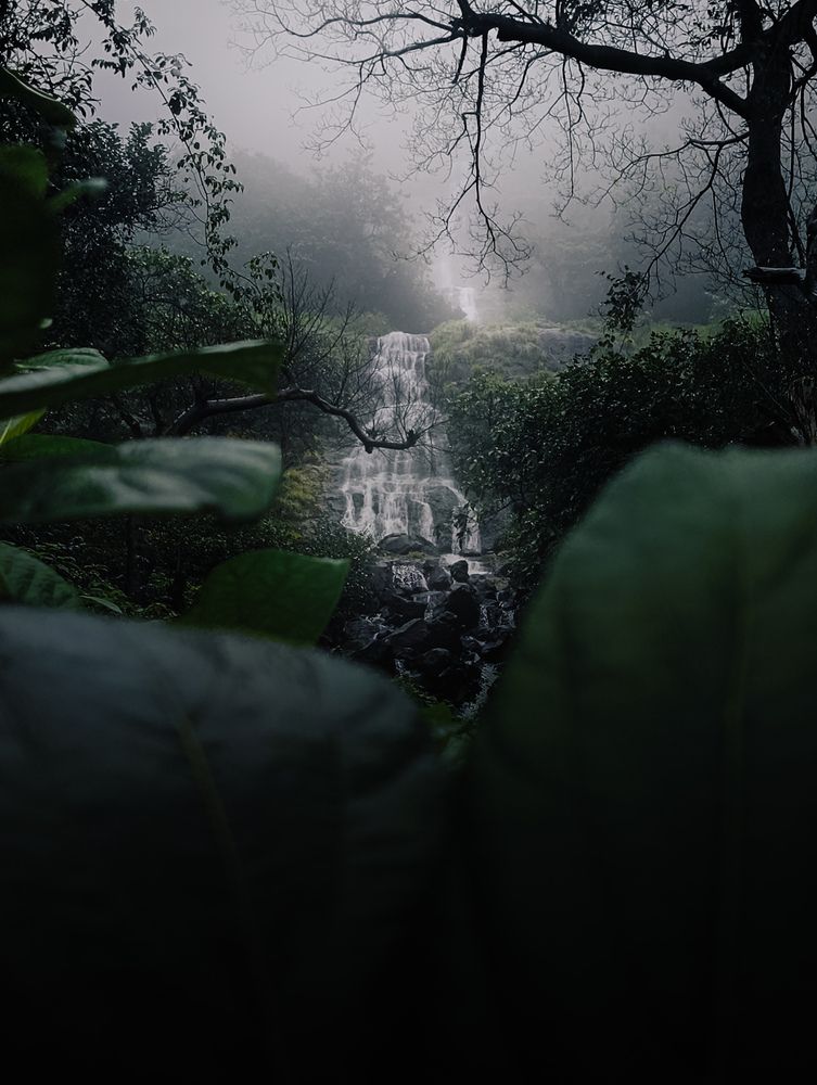 Photograph by Saksham Gupta
