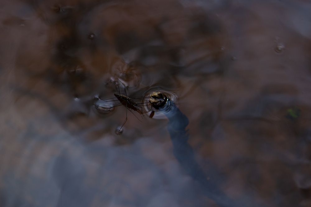 Photograph by Светлана Зайкова