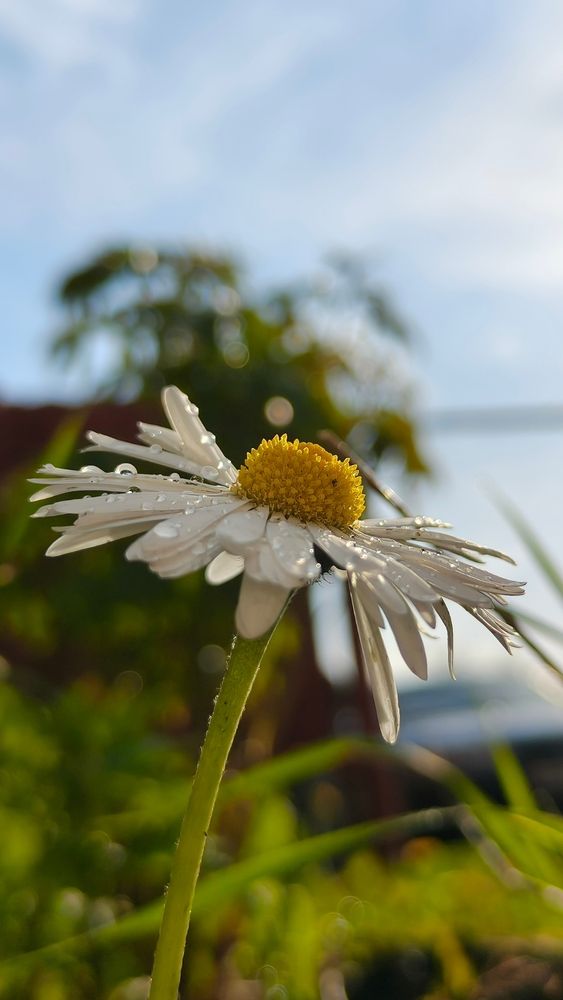 Photograph by Вика Коршунова