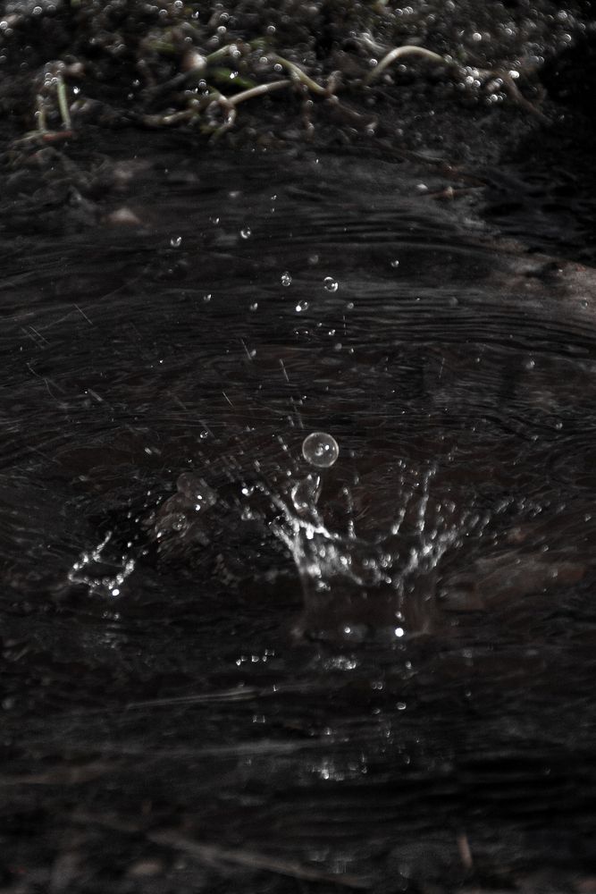 Photograph by Вьюнова Виктория