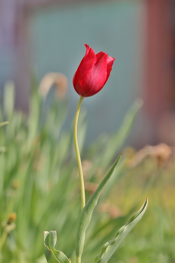 Photograph by Михаил Мартюшев
