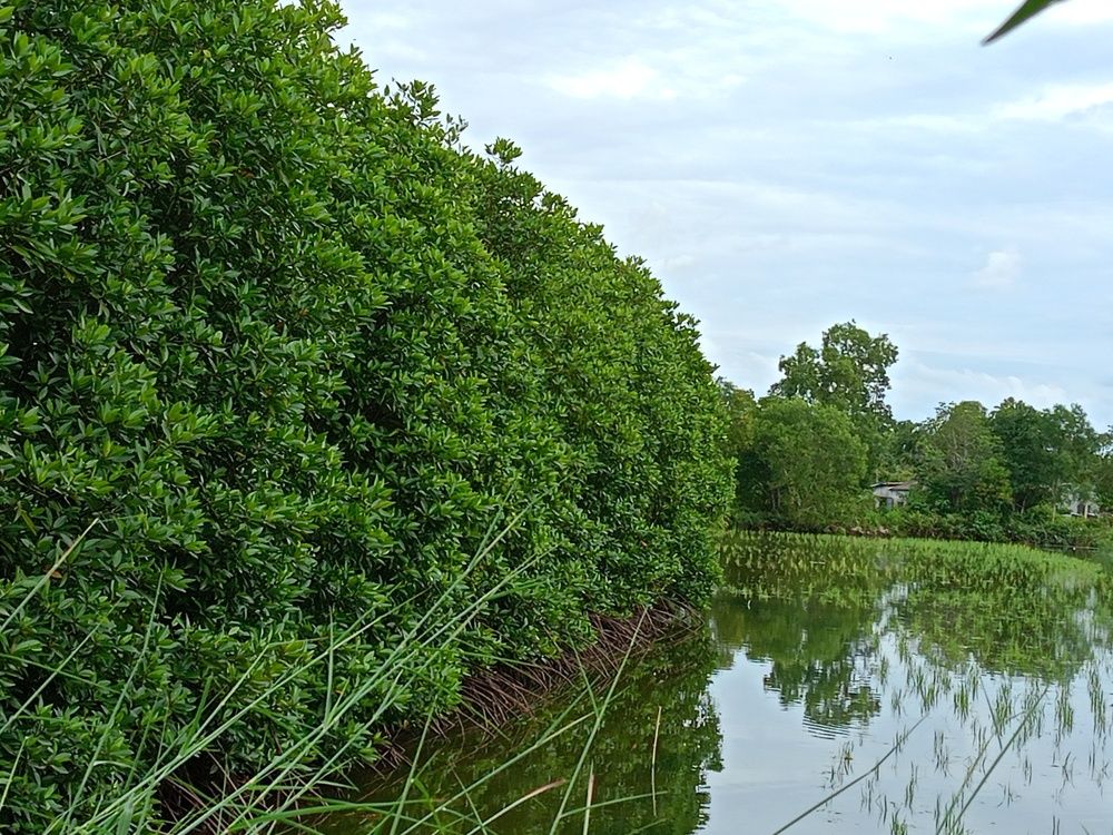 Photograph by Tân Trần Thanh