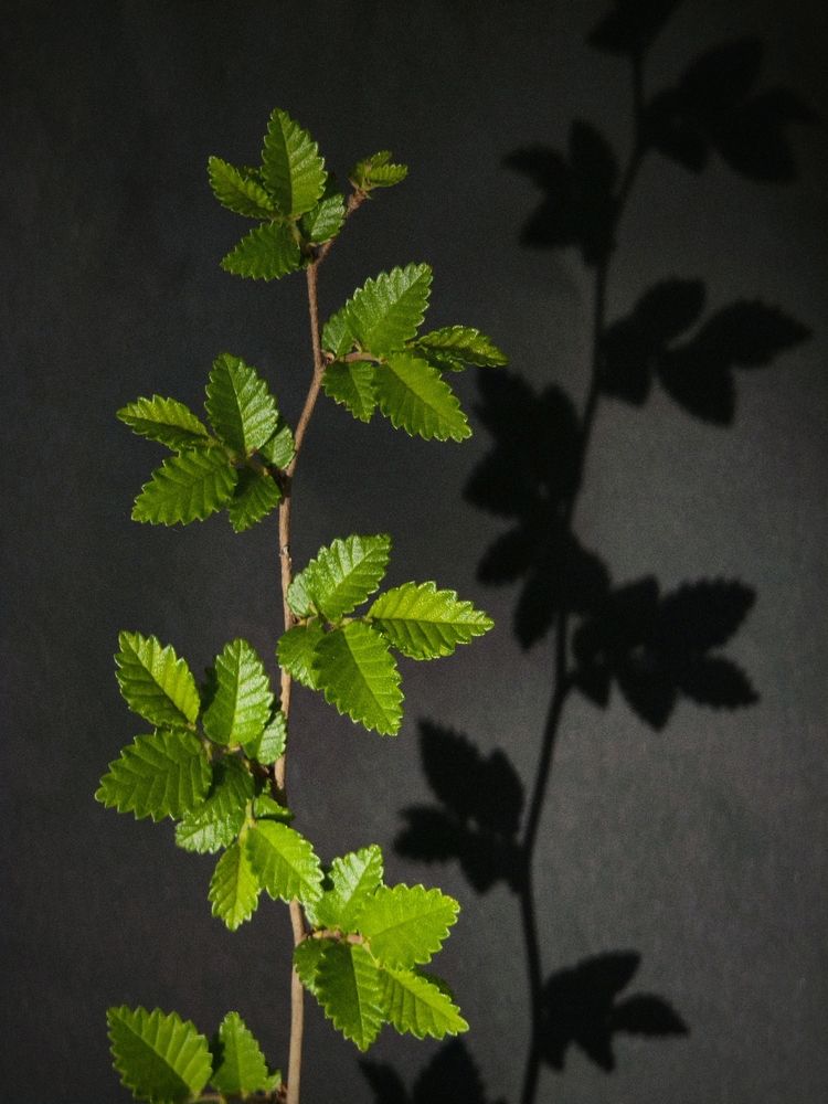 Photograph by Ирина Строкова