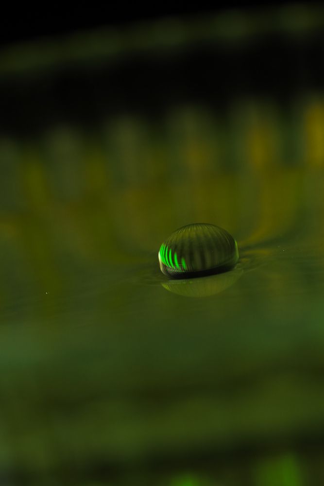Photograph by Лейла Прощина