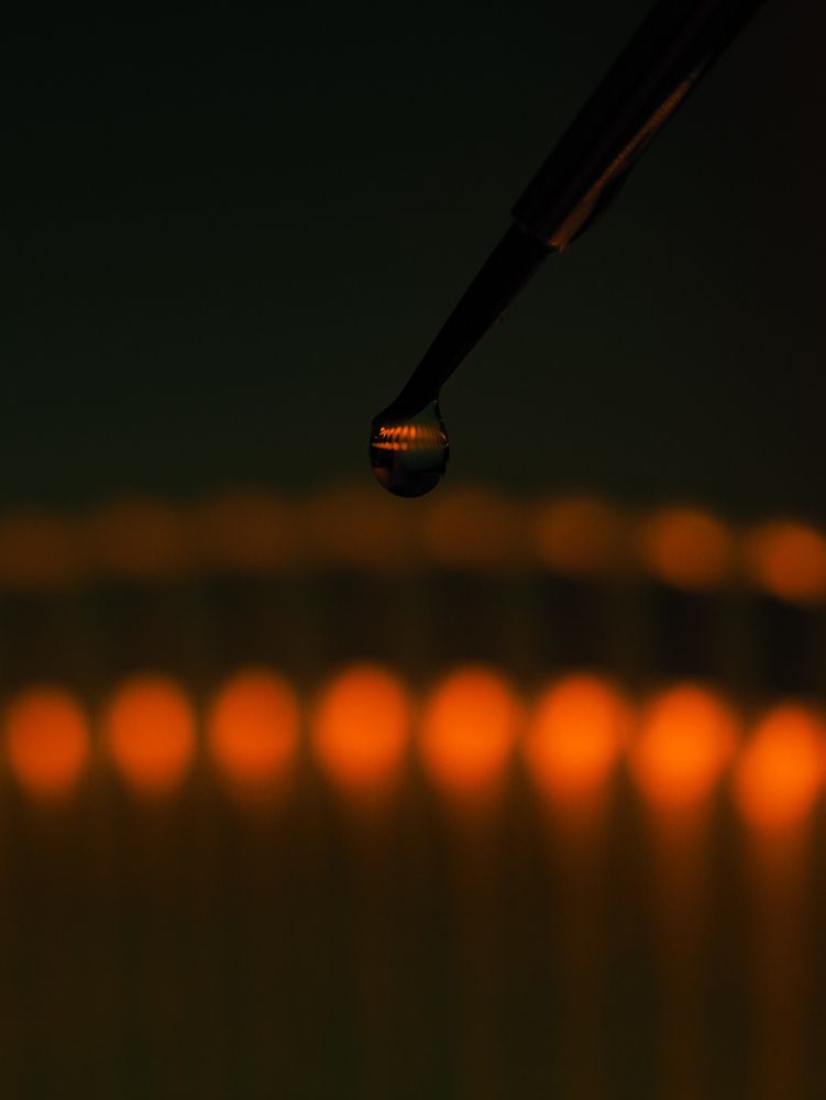 Photograph by Лейла Прощина