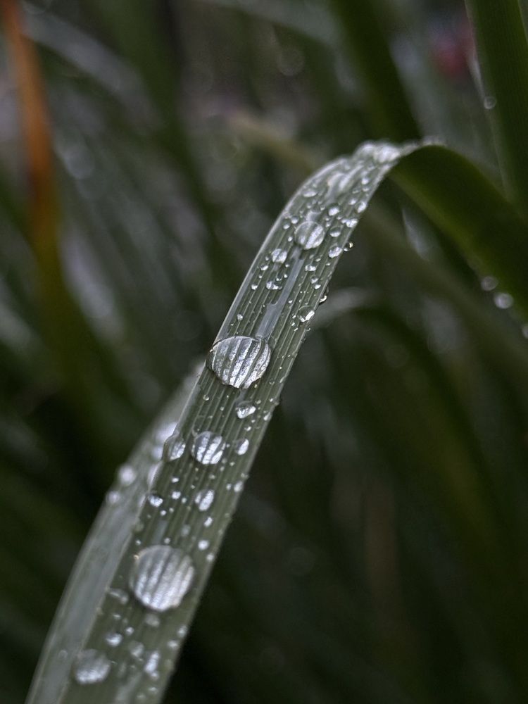 Photograph by Ксения Сидорина