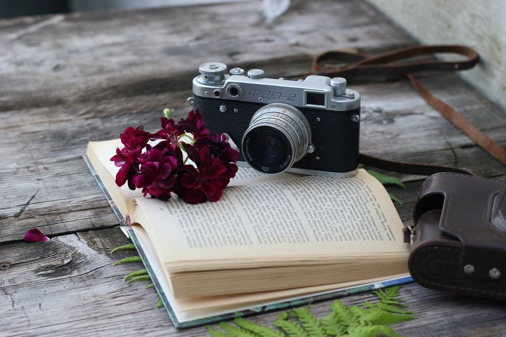 Photograph by АЛЛА ТАРАСЕНКО