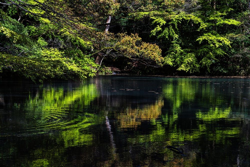 Ripples