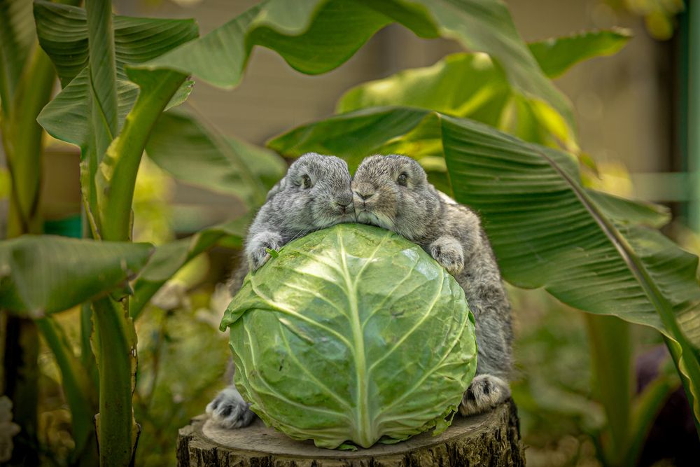 Photograph by Лупина Михаил