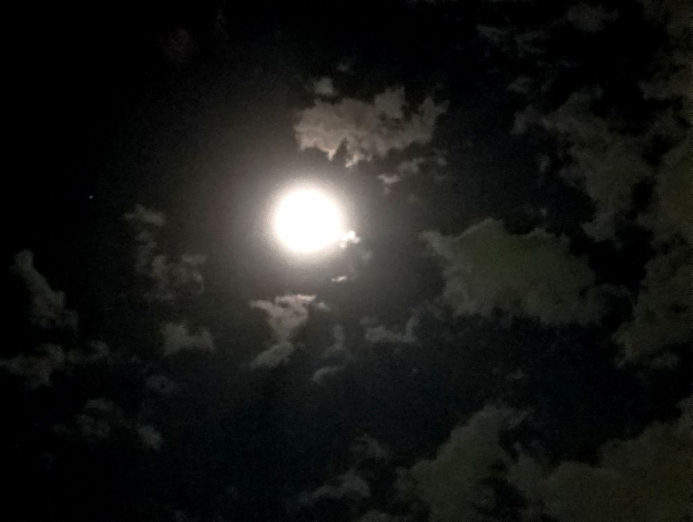 From Ashes to sky .