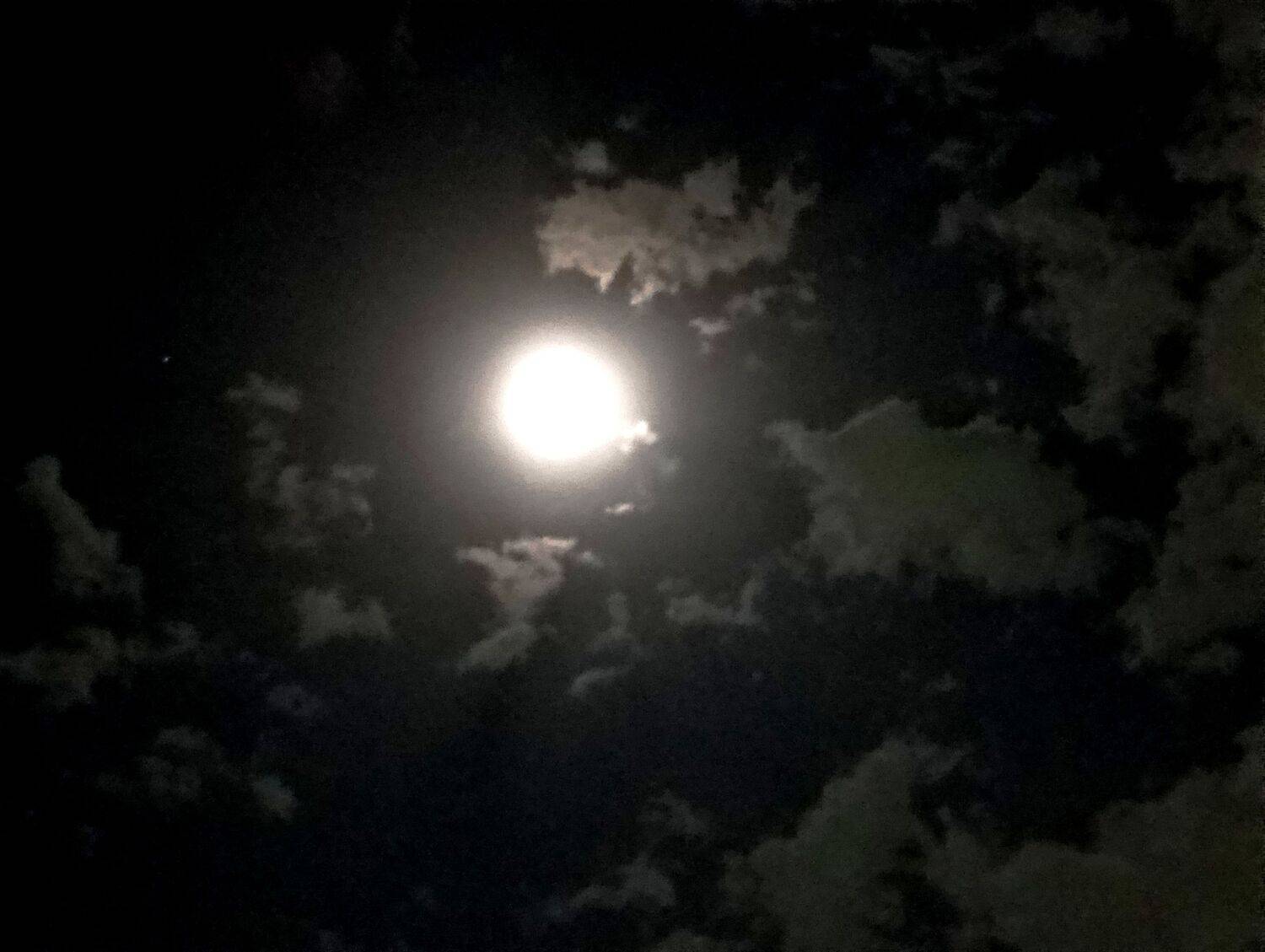 From Ashes to sky .