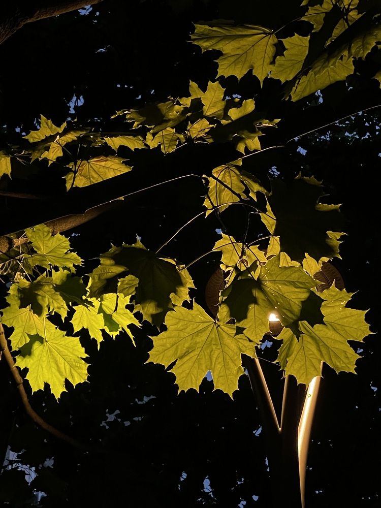 Photograph by Елизавета Станкевич