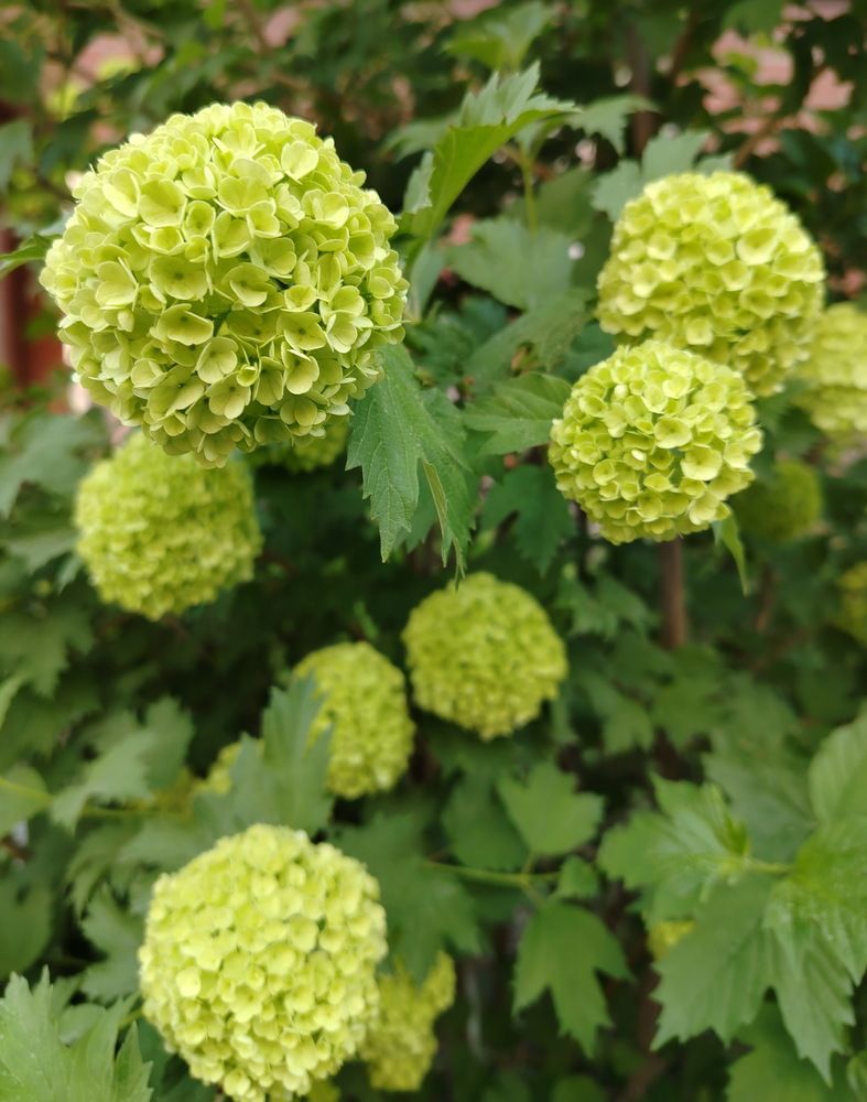 Photograph by Наталия