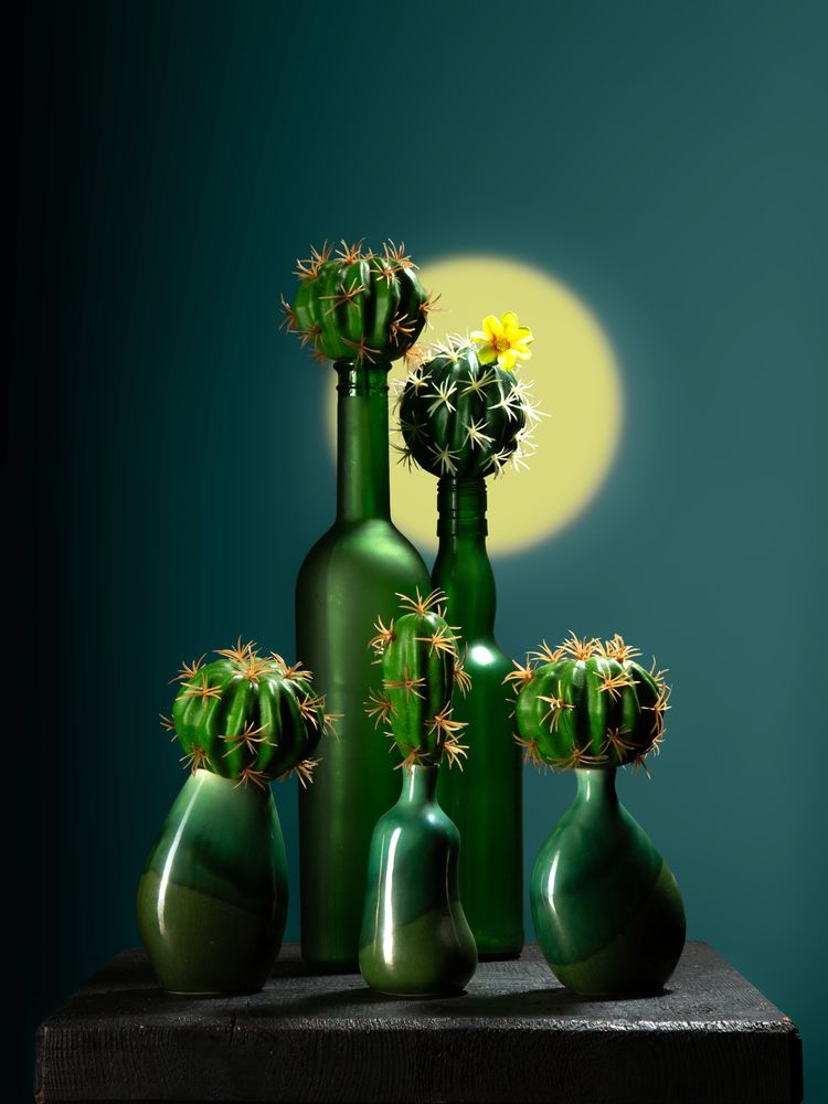 Photograph by Кольцова Мария