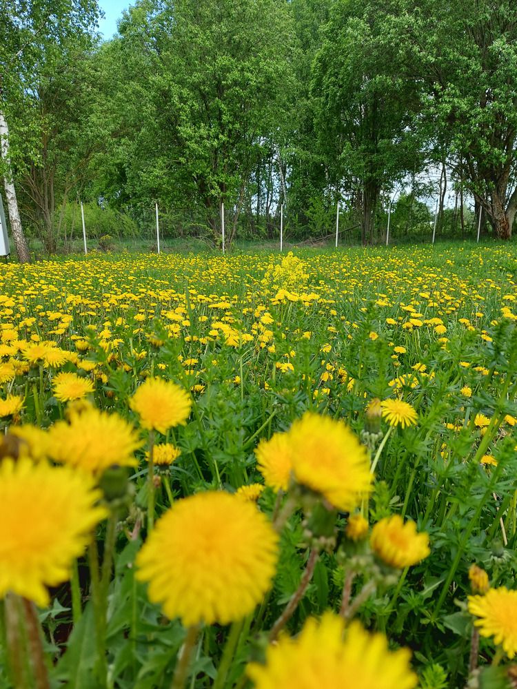 Photograph by Сергей Беляев